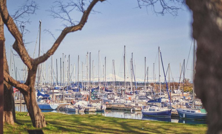 A shot of a Marina filled with sailboats.